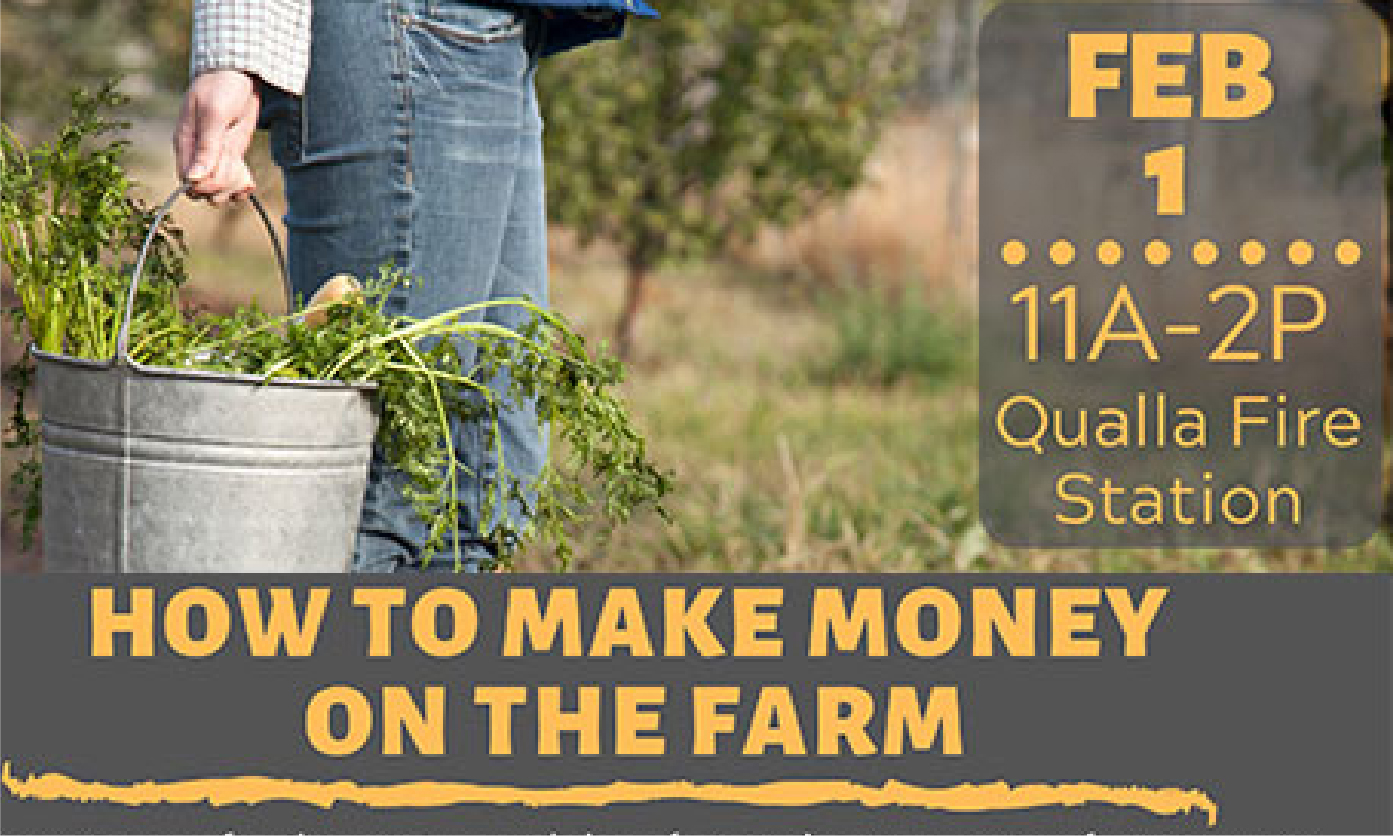 make money account farming