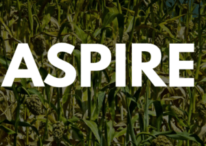 ASPIRE