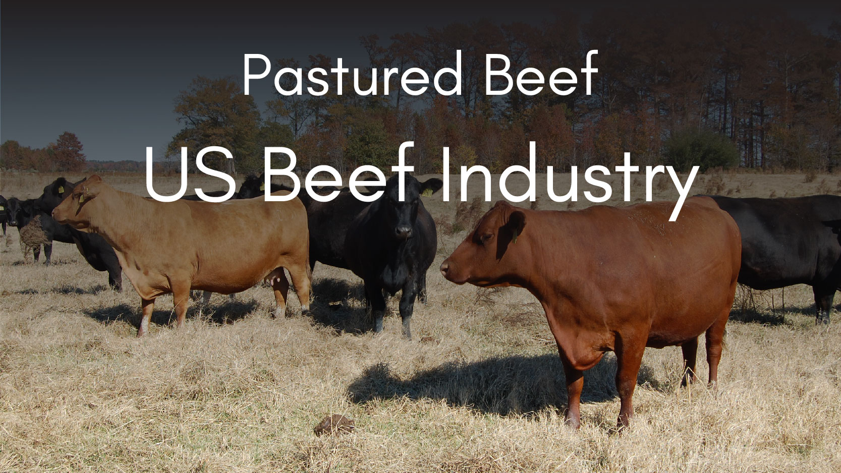 Pastured Beef Production – US Beef Industry – Center for Environmental  Farming Systems