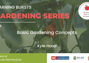 Learning Bursts Basic Gardening Concepts graphic
