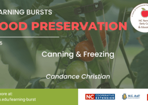 Learning Bursts Canning and Freezing graphic