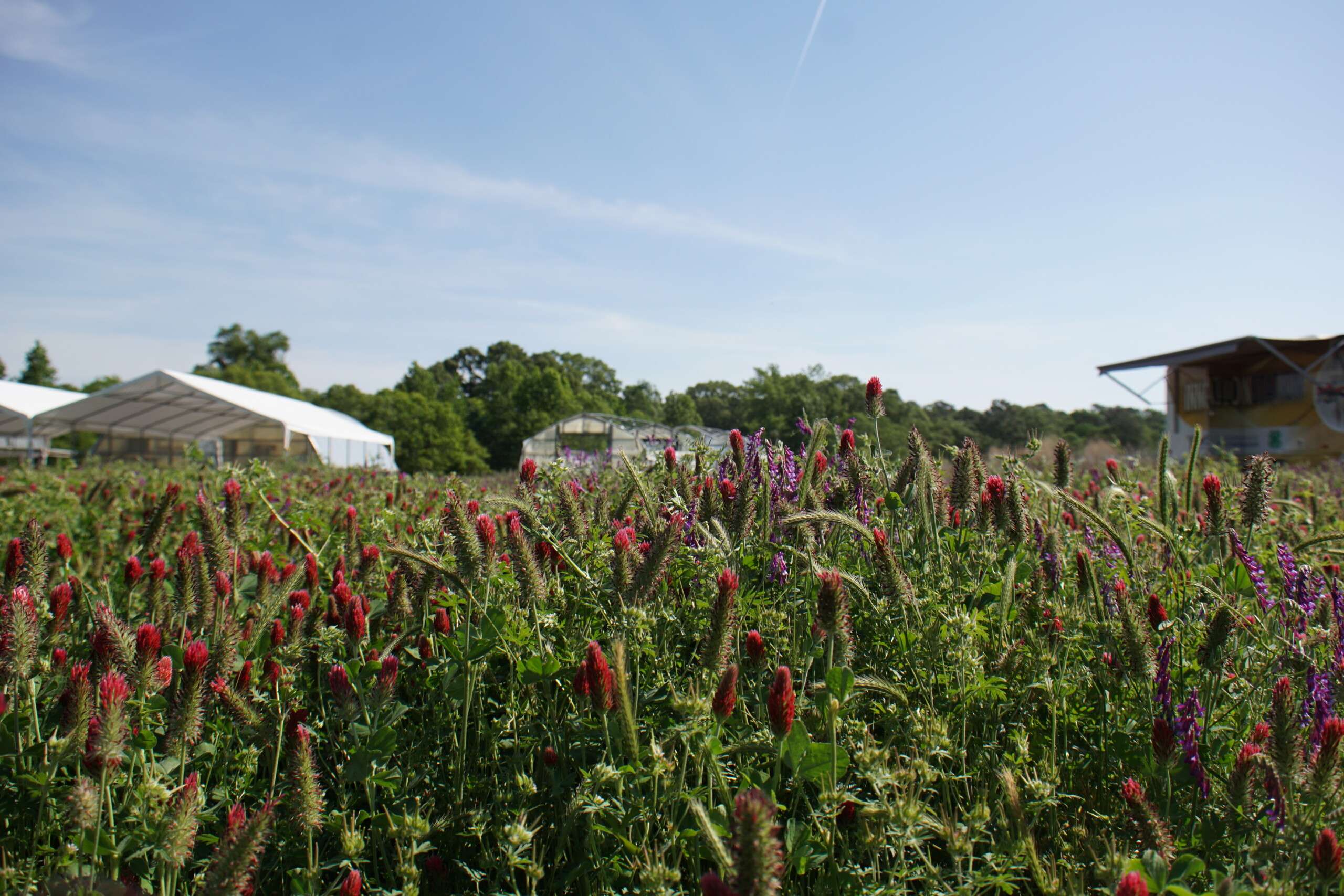 Earth Day Ag Showcase at the Small Farm Unit – Center for Environmental ...