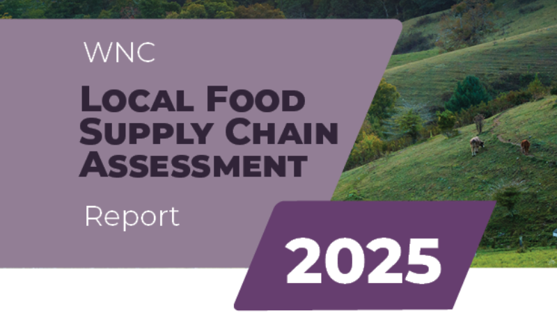 Supply Chain Assessment