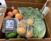 Example of a food box from the AgInnovation Center