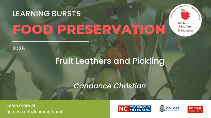Learning Bursts Fruit Leathers and Pickling graphic