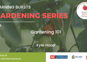 Learning Burst Gardening 101 graphic