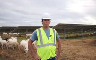 A portrait shot of a man with a hard hat and vest. Behind him are solar panels and sheep against a gray sky