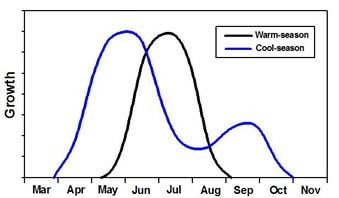 Graph describing the different growth season of warm season grasses and cold season grasses. 