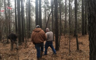 Three men walking away from the camera in a fall season forest