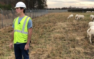 A man talking and standing on the front left of the photo wearing a hard hat and vest. To the left of him is a fence. To the right are grazing sheep. Behind the fence are trees