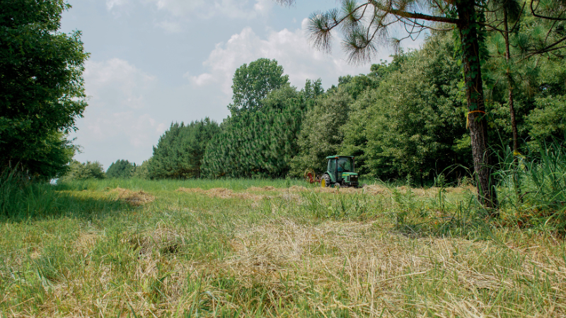 Tractor in the distance in a field