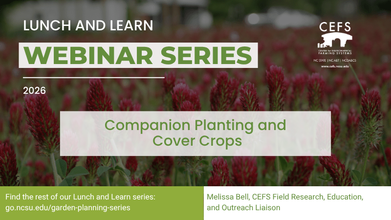 Lunch and Learn companion planting and cover crops graphic