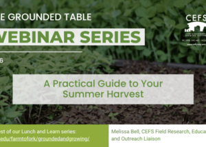 The Grounded Table: A Practical Guide to Growing Your Summer Harvest graphic