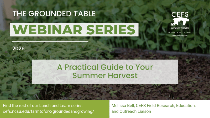 The Grounded Table: A Practical Guide to Growing Your Summer Harvest graphic