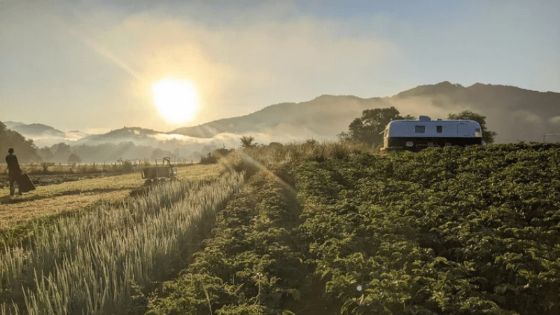 sun setting behind mountains in background, farm field in foreground