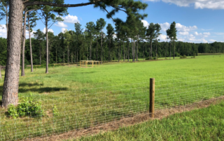 Fence with wooden stakes in the foreground. Behind the fence is open grass space. On the right of the photo behind the fence are tall trees and these tall trees encircle the grass space