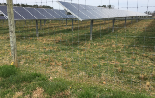 Behind a fence are rows of solar panels