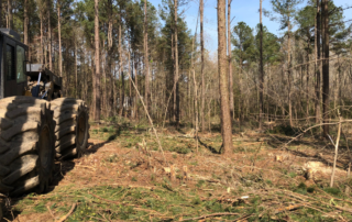 Large tractor on the left of the image, moving into a less dense forested area