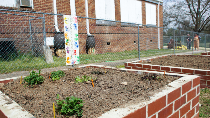 Brick garden box with small plants growing in school garden with colorful handmade sign on garden fence