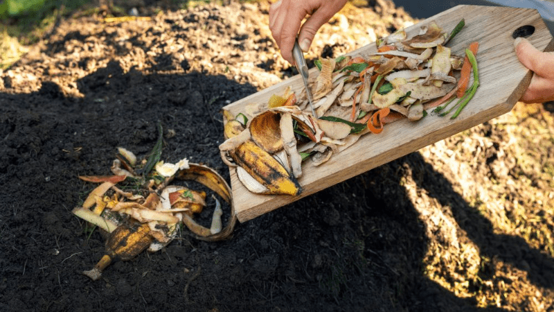 Someone scraping food scraps off of a cutting board into the dirt