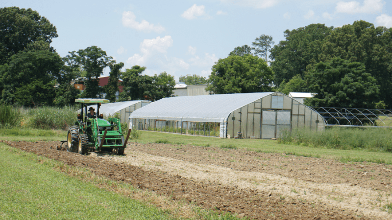 Person driving tractor on field in front of high tunnel