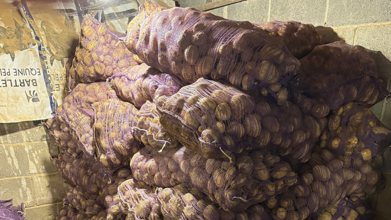 WNCStrong Youth Service Corps Potato Photo Blog 1