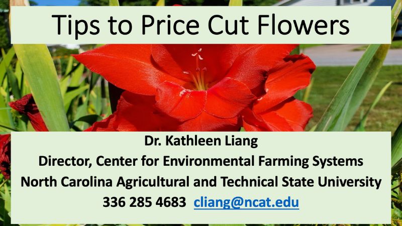 Tips to Price Cut Flowers (English & Español) – Center for Environmental  Farming Systems