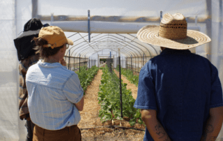 Three people looking into high tunnel at crops