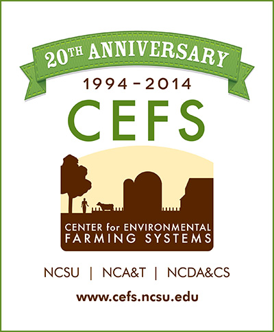 CEFS 20th Anniversary