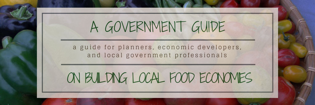 Local Government Guide banner