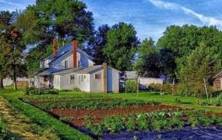 Small farmhouse in background with in ground vegetable plot in foreground next to the house