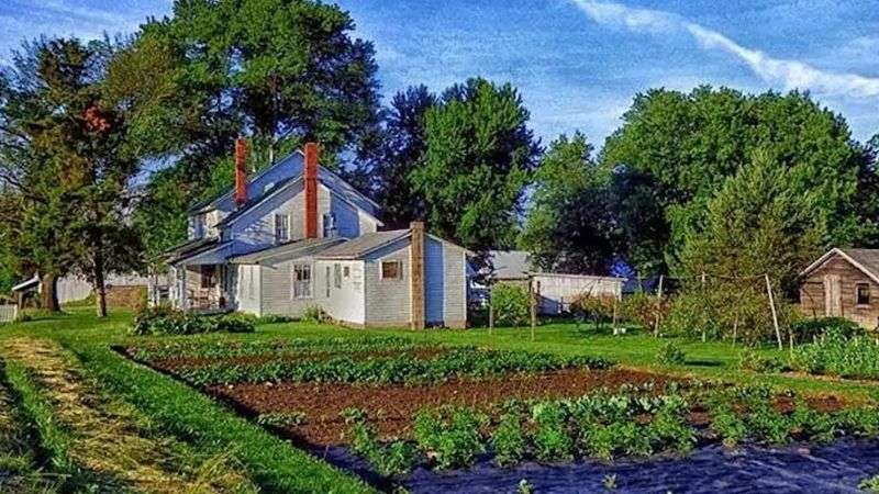 Small farmhouse in background with in ground vegetable plot in foreground next to the house