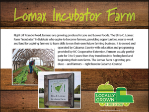 Lowes Foods created consumer education materials for Lomax's produce.