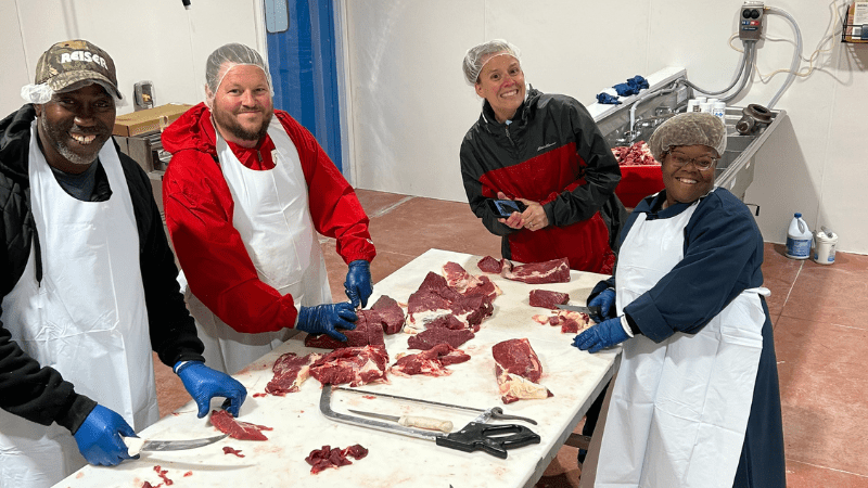 Four people butchering a carcass