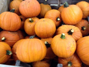 pmp-pumpkins