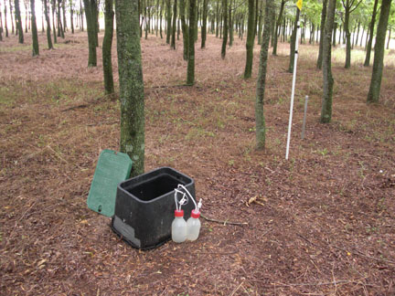 Pore water samplers and a piezometer in the FSRU's Forestry System.