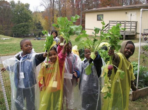 Kids in raincoats holding beets