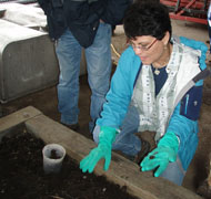 CEFS Research Associate Silvana Pietrosemoli shows off finished compost full of red wriggler worms.